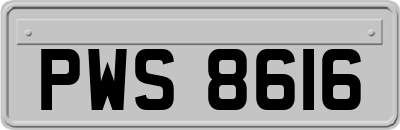 PWS8616