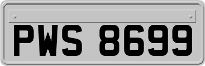 PWS8699