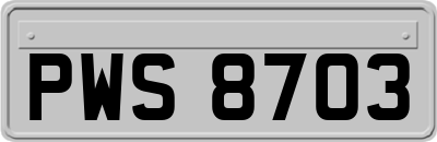 PWS8703