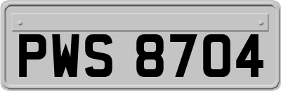 PWS8704