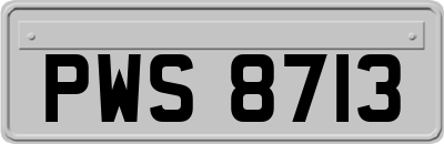 PWS8713