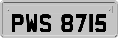 PWS8715