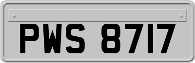 PWS8717