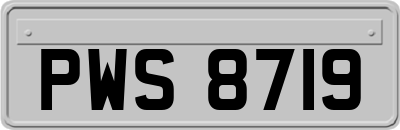 PWS8719