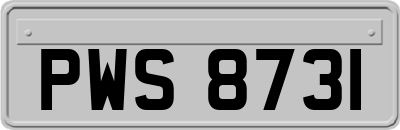 PWS8731