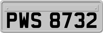 PWS8732