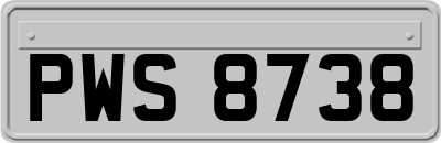 PWS8738