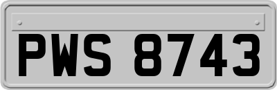 PWS8743