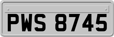 PWS8745