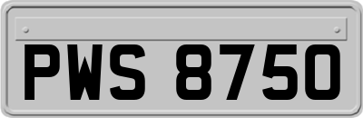 PWS8750