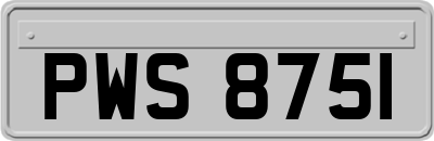 PWS8751