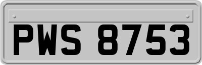 PWS8753