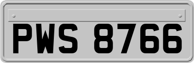 PWS8766