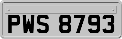 PWS8793