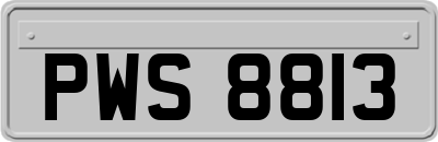 PWS8813