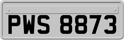 PWS8873