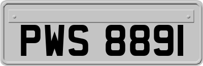 PWS8891