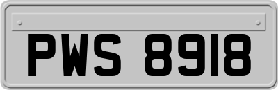 PWS8918