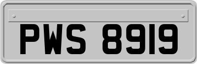 PWS8919