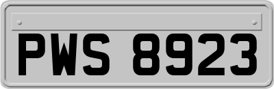 PWS8923