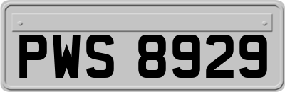 PWS8929