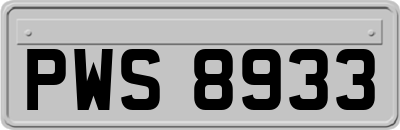 PWS8933