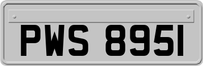 PWS8951