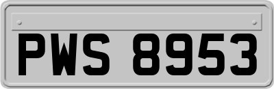 PWS8953