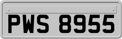 PWS8955