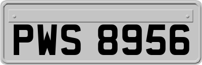 PWS8956