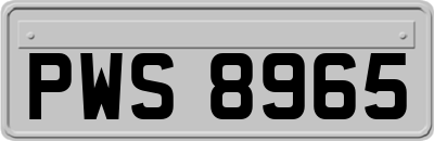 PWS8965