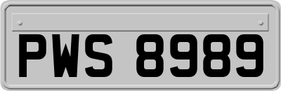 PWS8989