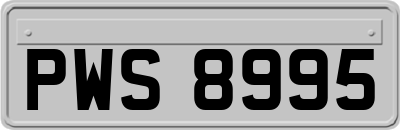 PWS8995