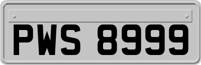 PWS8999