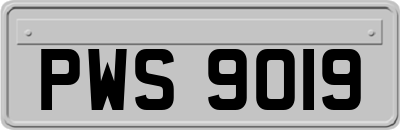 PWS9019