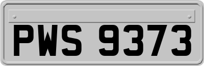 PWS9373