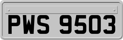 PWS9503