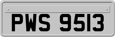 PWS9513