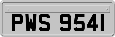 PWS9541