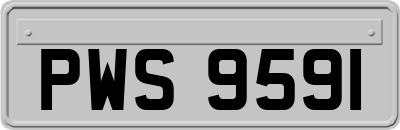 PWS9591