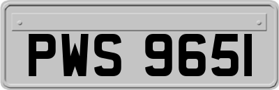 PWS9651