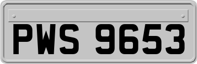 PWS9653