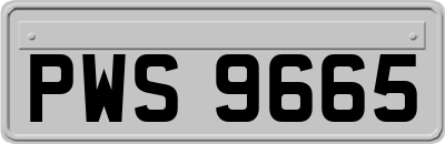 PWS9665