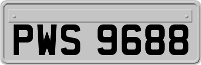 PWS9688