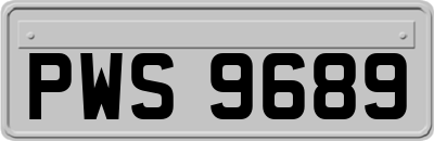 PWS9689