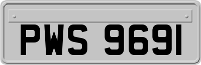 PWS9691