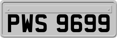 PWS9699