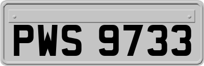 PWS9733