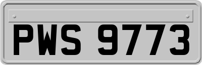 PWS9773