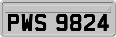 PWS9824